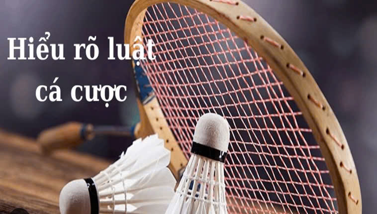 Cá Cược Cầu Lông Tại WIN55: Bí Kíp Thắng Lớn Đỉnh Cao Đợi Bạn Khám Phá 2 Cá Cược Cầu Lông Tại WIN55: Bí Kíp Thắng Lớn Đỉnh Cao Đợi Bạn Khám Phá