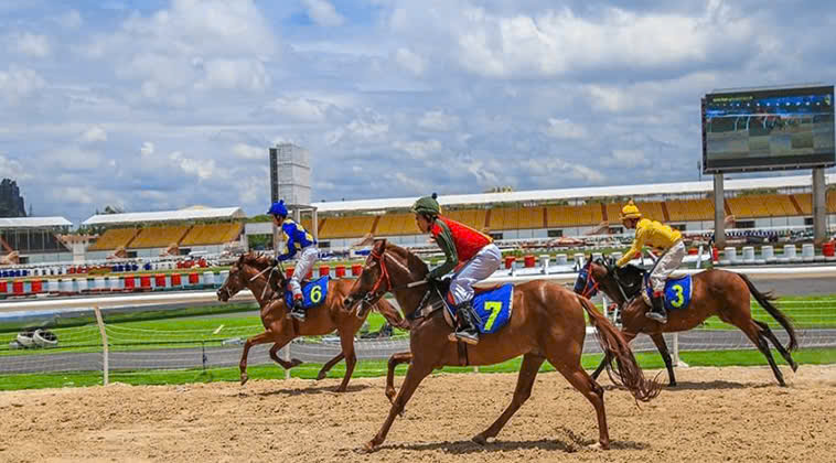 Đua Ngựa WIN55: Bí Ẩn Đằng Sau Từng Cú Phi Nước Đại Đỉnh Cao 2 Đua Ngựa WIN55: Bí Ẩn Đằng Sau Từng Cú Phi Nước Đại Đỉnh Cao