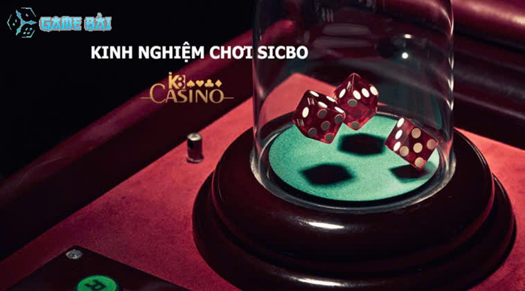 SicBo Tại WIN55: Bí Kíp Tham Gia Đỉnh Cao Cho Tín Đồ Đỏ Đen